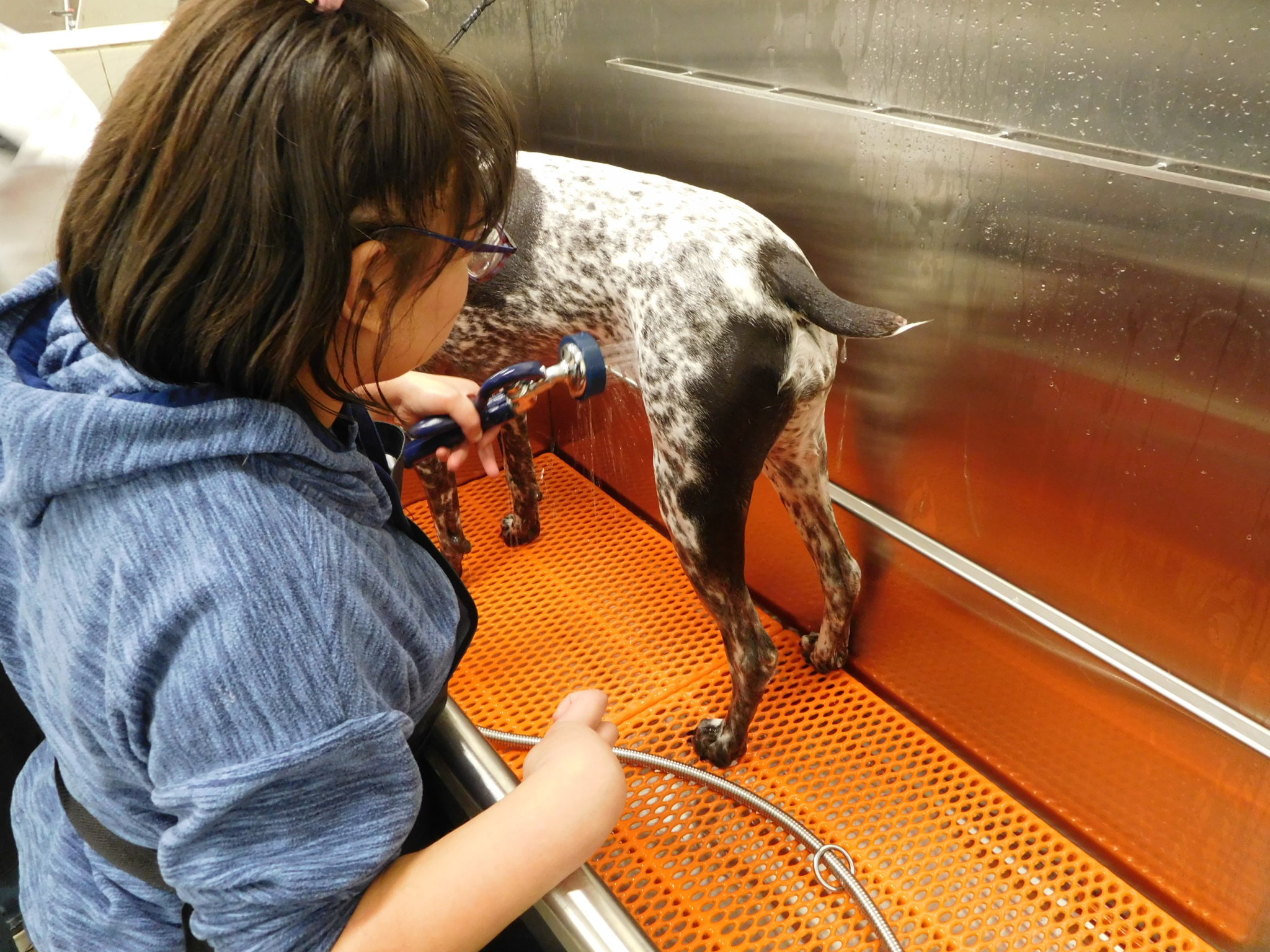 Washing the Dog Can Be a Fun Chore Our Special Fun Oasis